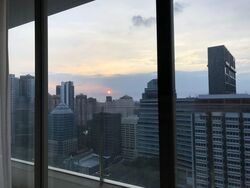 Scotts Square (D9), Apartment #461087331
